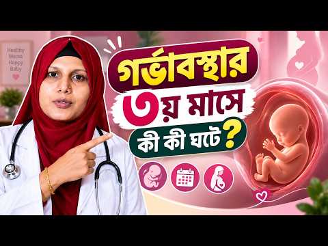 গর্ভাবস্থার ৩য় মাসে কী ঘটে? গর্ভের শিশুর বিকাশ
